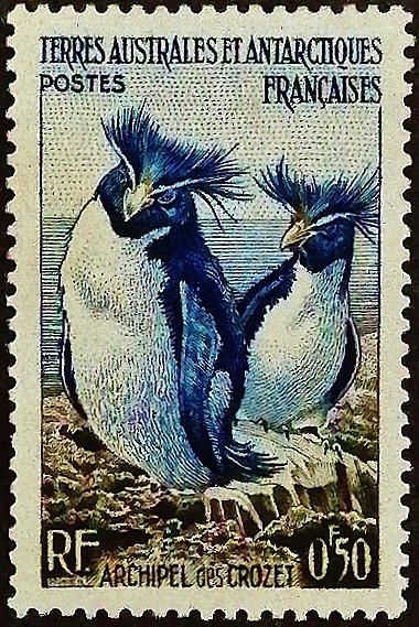 Марка почтовая (0,5 fr.). "Фауна Антарктиды". 1956 год, Французские Южные и Антарктические территории.