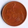 Монета 5 центов. 1998 год, ЮАР.