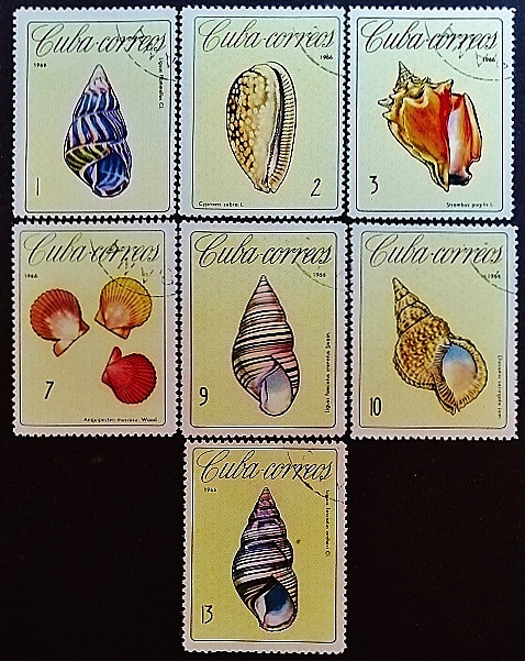 Набор почтовых марок (7 шт.). "Улитки и ракушки". 1966 год, Куба. Набор почтовых марок (7 шт.). "Улитки и ракушки". 1966 год, Куба.
