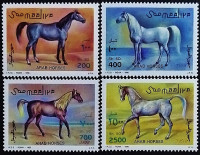 Набор марок (4 шт.). "Арабские лошади". 1996 год, Сомали.