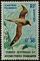 Марка почтовая (0,3 fr.). "Птицы". 1959 год, Французские Южные и Антарктические территории.