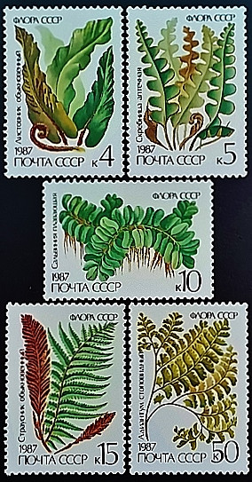 Набор марок (5 шт.). "Флора СССР - Папоротники". 1987 год, СССР.