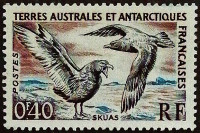 Марка почтовая (0,4 fr.). "Птицы". 1959 год, Французские Южные и Антарктические территории.