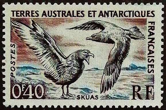 Марка почтовая (0,4 fr.). "Птицы". 1959 год, Французские Южные и Антарктические территории.