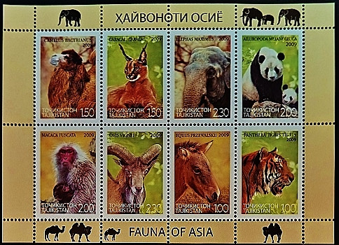Блок марок (8 шт.). "Фауна Азии". 2009 год, Таджикистан.