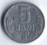 Монета 5 баней. 1996 год, Молдова.
