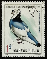 Марка почтовая. "Голубиная почта". 1969 год, Венгрия.