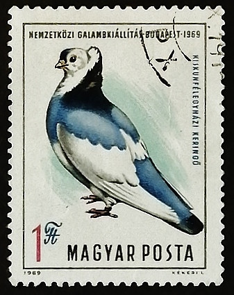 Марка почтовая. "Голубиная почта". 1969 год, Венгрия.
