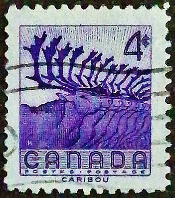 Почтовая марка (4 c.). "Национальная неделя дикой природы". 1956 год, Канада.