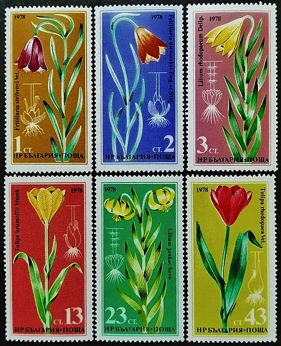 Набор марок (6 шт.). "Редкие цветы". 1978 год, Болгария.