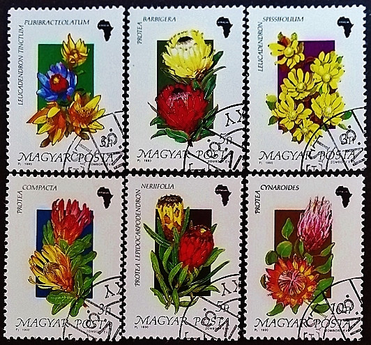 Набор почтовых марок (6 шт.). "Флора Африки". 1990 год, Венгрия. Набор почтовых марок (6 шт.). "Флора Африки". 1990 год, Венгрия.