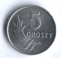 Монета 5 грошей. 1962 год, Польша.