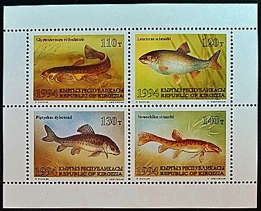 Блок марок (4 шт.). "Рыбы". 1994 год, Кыргызстан.