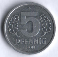 Монета 5 пфеннигов. 1981 год, ГДР.