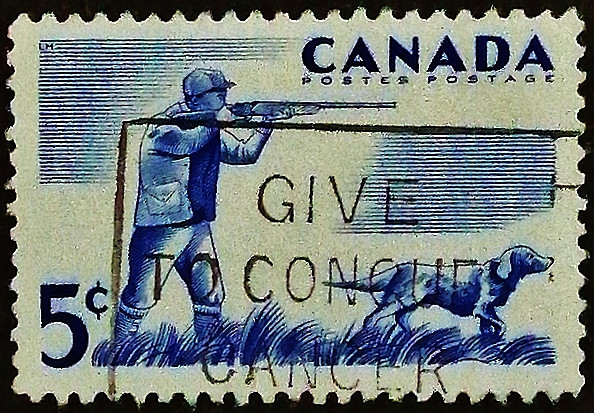 Почтовая марка (5 c.). "Отдых на природе". 1957 год, Канада.