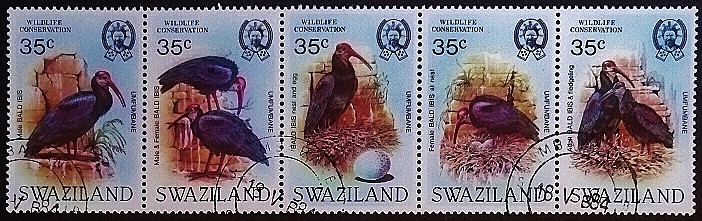 Набор почтовых марок (5 шт.). "Охрана дикой природы, Лысый ибис". 1984 год, Свазиленд.