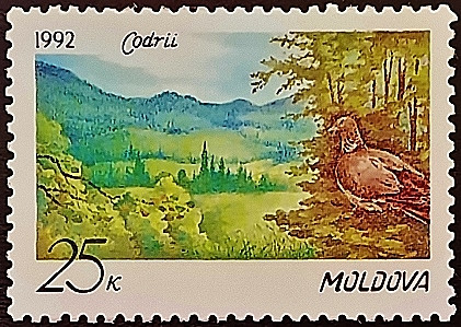 Марка почтовая. "Природный заповедник Кодри". 1992 год, Молдова. Марка почтовая. "Природный заповедник Кодри". 1992 год, Молдова.
