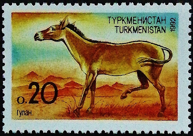 Марка почтовая. "Азиатский дикий осел". 1992 год, Туркменистан.