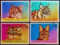 Набор марок (4 шт.). "Кошачьи". 1971 год, Аджман.