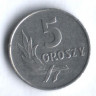 Монета 5 грошей. 1967 год, Польша.