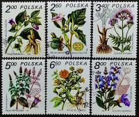 Набор почтовых марок (6 шт.). "Лекарственные растения". 1980 год, Польша.