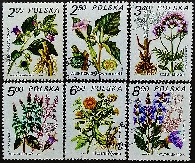 Набор почтовых марок (6 шт.). "Лекарственные растения". 1980 год, Польша.