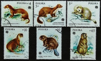 Набор почтовых марок (6 шт.). "Животные под защитой". 1984 год, Польша.