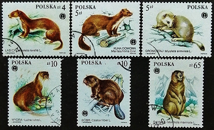 Набор почтовых марок (6 шт.). "Животные под защитой". 1984 год, Польша.