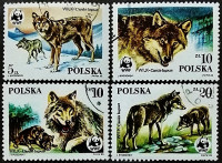 Набор почтовых марок (4 шт.). "Всемирный фонд дикой природы - Волки". 1985 год, Польша.