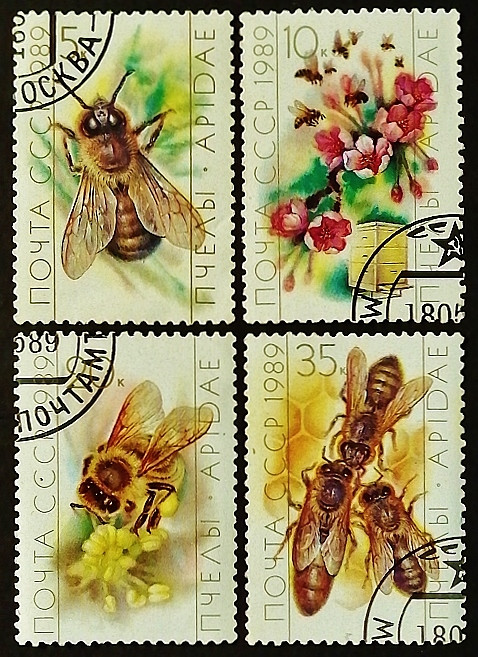 Набор почтовых марок (4 шт.). "Пчеловодство". 1989 год, СССР. Набор почтовых марок (4 шт.). "Пчеловодство". 1989 год, СССР.