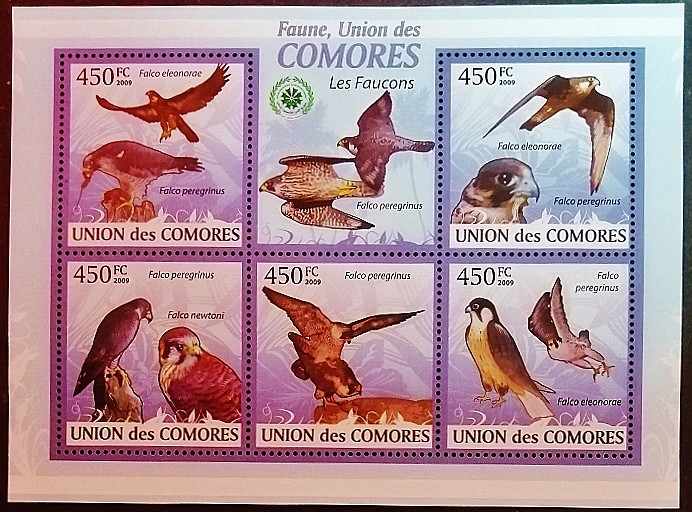 Блок марок (5 шт.). "Соколы". 2009 год, Коморские острова.