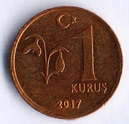 Монета 1 куруш. 2017 год, Турция.