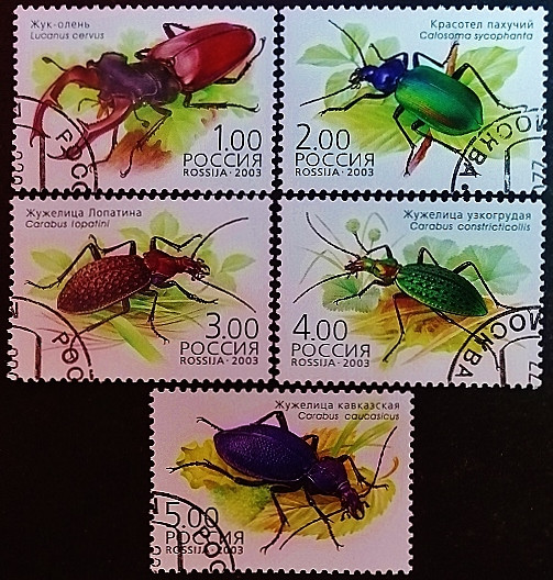 Набор почтовых марок (5 шт.). "Фауна - Жуки". 2003 год, Россия.