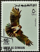 Почтовая марка (50 d.). "Хищные птицы". 1968 год, Умм аль-Кувейн.