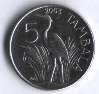 Монета 5 тамбала. 2003 год, Малави.