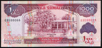 Банкнота 1000 шиллингов. 2012 год, Сомалиленд.