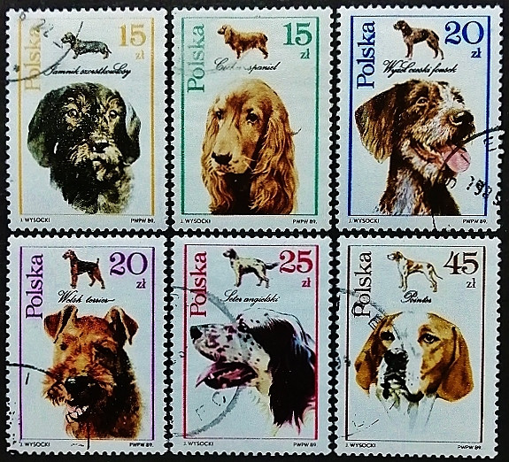 Набор почтовых марок (6 шт.). "Собаки". 1983 год, Польша.