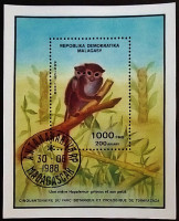 Мини-блок. "50 лет зоопарку Цимбазаза". 1988 год, Мадагаскар.