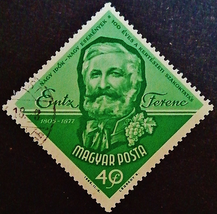 Почтовая марка. "Ференц Энц". 1963 год, Венгрия.