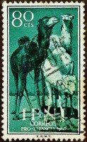 Почтовая марка (80 c.). "Верблюды". 1960 год, Ифни.