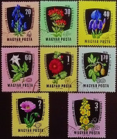 Набор почтовых марок (8 шт.). "Цветы". 1961 год, Венгрия.