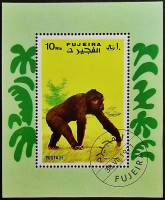 Мини-блок. "Обезьяны". 1971 год, Фуджейра.