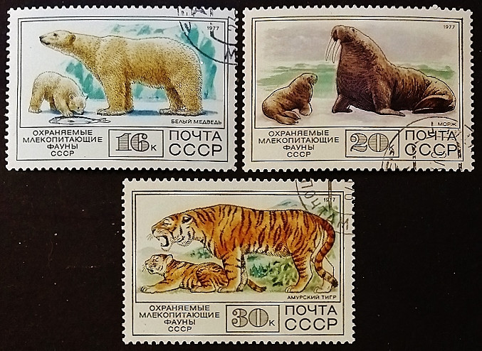 Набор почтовых марок (3 шт.). "Охраняемые млекопитающие СССР". 1977 год, СССР.