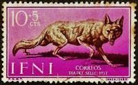 Почтовая марка (10+5 c.). "Золотой Шакал". 1957 год, Ифни.