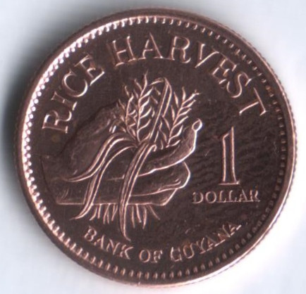Монета 1 доллар. 1996 год, Гайана.