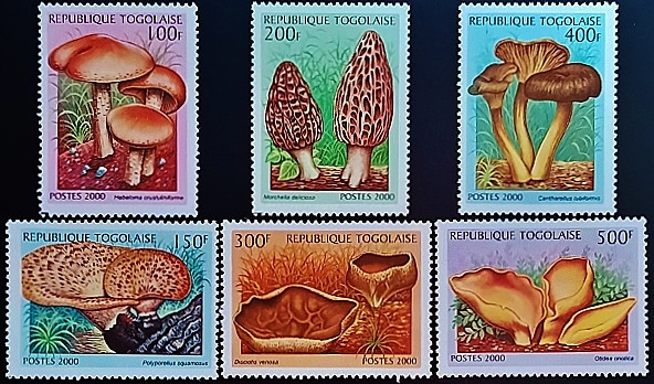 Набор марок (6 шт.). "Грибы". 2000 год, Того.