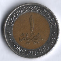 Монета 1 фунт. 2007 год, Египет.