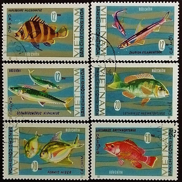 Набор почтовых марок (6 шт.). "Местные рыбы (I)". 1967 год, Вьетнам.