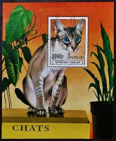Мини-блок. "Кошки". 1997 год, Того.