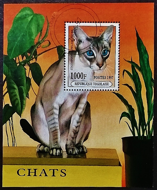 Мини-блок. "Кошки". 1997 год, Того.